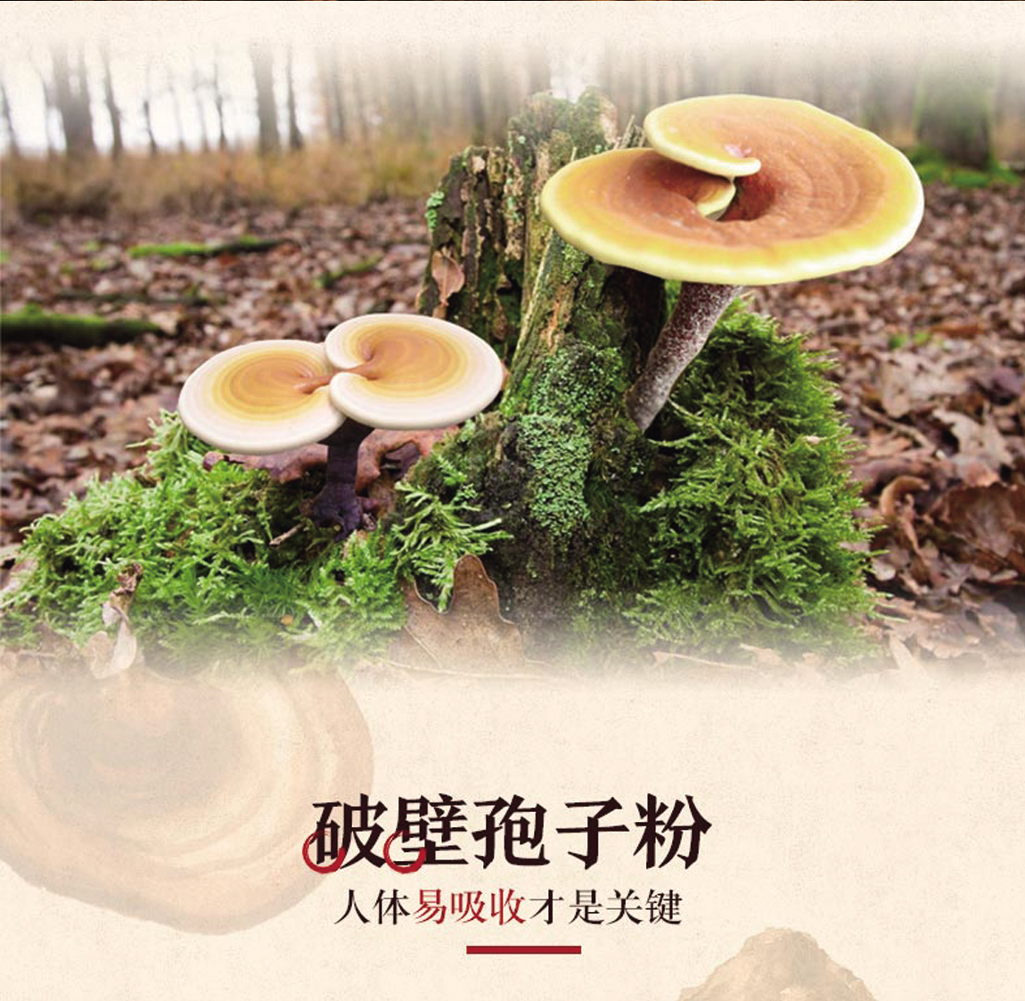 e3387db7559efb3fe0a7fbd48f792b8c.jpg